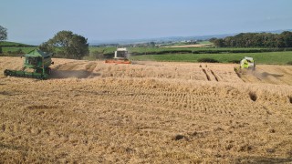 Harvest 2020 has seen ‘some of the poorest crops cut in living memory’
