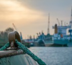 Search underway for 42 crew after cattle ship capsizes in East China Sea
