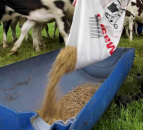 4,000 eligible farmers still to apply for NI’s Covid-19 support fund