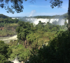Mercosur trade deal ‘fails sustainability criteria’ – Oxford University