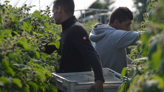 45,000 seasonal worker visas made available for 2023