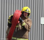 2,000 pigs die after blaze breaks out on Co. Down farm