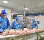 Avara Foods partners with Kickstart scheme