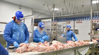 Research shows consumers disliked foods with added hormones or chlorine wash