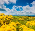 NIRIG rebrands to RenewableNI to 'reflect group's growing ambitions'