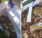 2t of rotting meat dumped in the countryside by fly-tippers