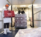 Race is on for NI firms to secure US customers for beef