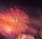 Spark of joy for animal welfare after recommendations for fireworks