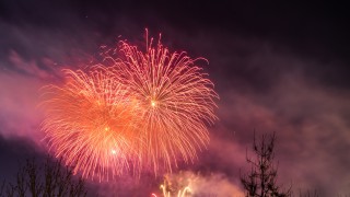 Spark of joy for animal welfare after recommendations for fireworks
