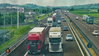 Calls for urgent action on exports of meat, dairy and other products of animal origin