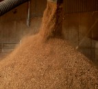 United Feeds appoints 3 new staff to ruminant nutrition team