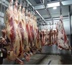 MLCSL and Kepak agree deal to boost independent carcase classification