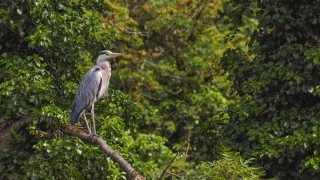 Government launches new £80 million fund for green jobs and national parks