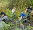 RSPB NI launches 5-point ‘Green Recovery Plan’ for Covid-19
