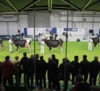 Winter Fair Online to reveal first ‘Champion of the Decade’