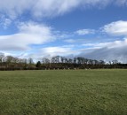 Report: How did farmland values and land supply fare in 2020 across the UK?