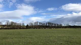 Report: How did farmland values and land supply fare in 2020 across the UK?