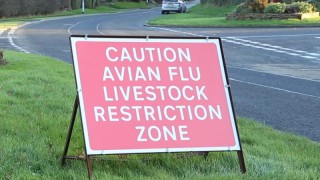 H5N8 avian influenza confirmed in birds in Gloucestershire