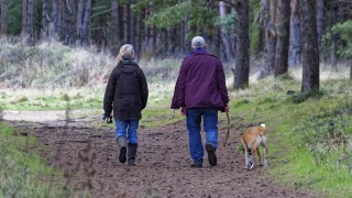 NSA calls for dog walkers to respect the countryside after recent attacks on sheep