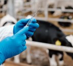 New antibiotic benchmarking tool to be rolled out across NI in early 2021