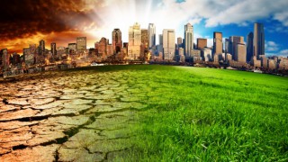 Farming for 1.5° inquiry publishes first report