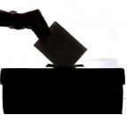 NPA members to vote for Pig Industry Group from next week