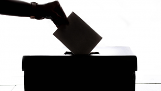 61% vote in favour to discontinue AHDB horticulture levy