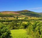 ‘Ambitious strategy’ needed to achieve net zero carbon future in Northern Ireland