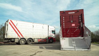 Safe transport ‘central to the livestock industry’