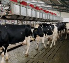 Rebuilding agriculture’s reputation: Now’s time to get back on the front foot