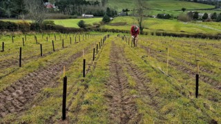 Land reform discussion ‘not reflective’ of modern land ownership and usage – SLE