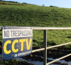 Operation Brockwatch expanded after successfully protecting 6 badger families