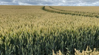 ‘Fertiliser programme was key to winning crop awards’