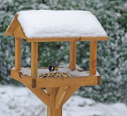 A Christmas feast for your garden birds