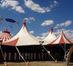 BVA welcomes ban on use of live wild animals in Welsh circuses