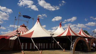 BVA welcomes ban on use of live wild animals in Welsh circuses