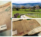 Declassified files reveal fears axing headage payments would disproportionately affect Catholic farmers