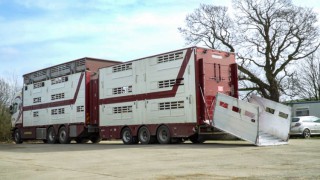 Government to consult on ending live exports for slaughter and fattening