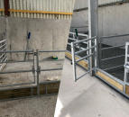 Slatted or dry bedded housing for sheep: What questions do I need to ask myself before deciding?