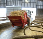 Straw shortage means farmers must be efficient with straw use over the winter months
