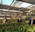 'Time to decide future of AHDB horticulture' - opposition to horticulture levy