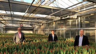 ‘Time to decide future of AHDB horticulture’ – opposition to horticulture levy
