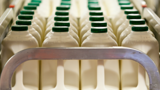NVZ regulations will undermine milk production and dairy industry – FUW