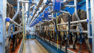 Nominations open for Dairy Industry Woman of the Year Award
