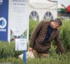 Cereals 2021 sets target to return as a physical show in June
