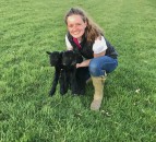 3 students announced as winners of the RABDF Farm Health Management Award