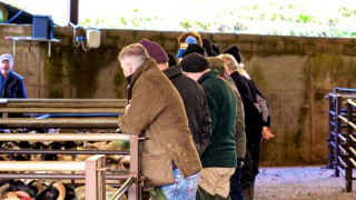 Farm businesses can play a ‘key role’ in investment-led recovery – NFU