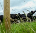How just 30 minutes on your farm could bolster conservation efforts