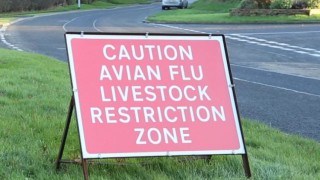 Avian Influenza Prevention Zone set to be lifted on May 15