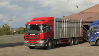 Animal welfare is a ‘top priority’ for any farmer – NFU